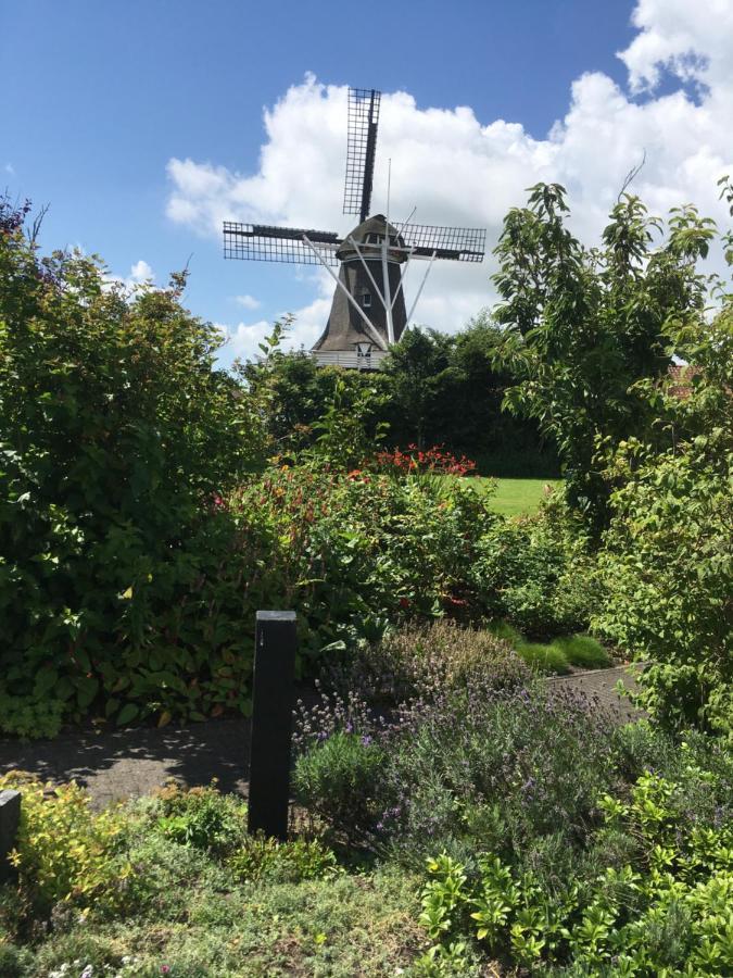 Villa Meeuw Hollum  Esterno foto